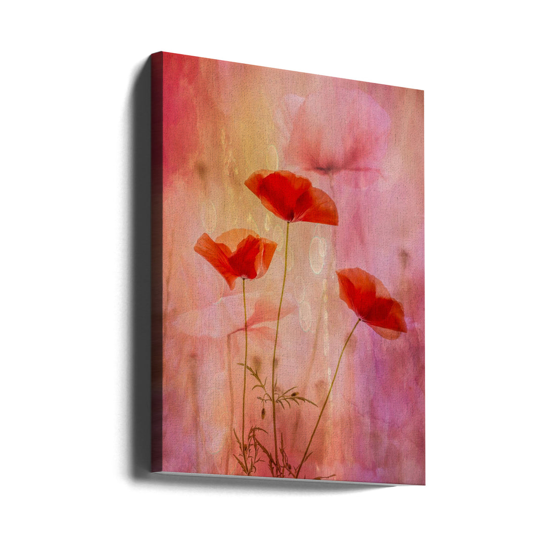 Red Poppy Bloom by Hilda Van Der Lee | Vintage Floral Nature, Large Canvas Wall Art Print | Artsy Earth