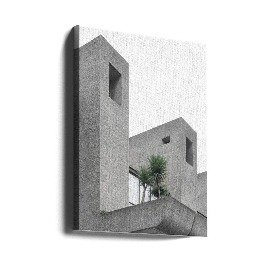 Lonely Palms No2 by Minorstep | Urban Architecture Monochrome, Large Canvas Wall Art Print | Artsy Earth