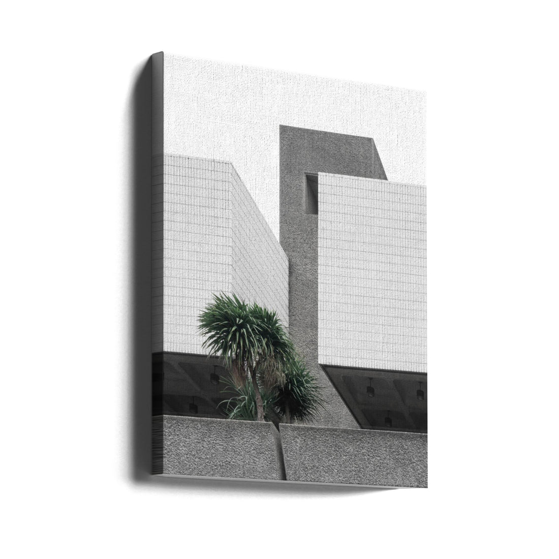 Lonely Palms by Minorstep | Urban Palm Architecture, Large Canvas Wall Art Print | Artsy Earth