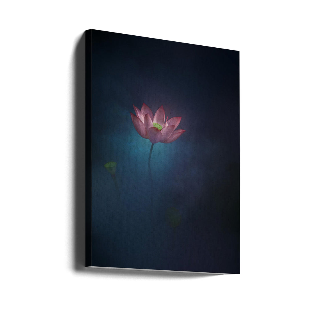 Pink Lotus Flower by Ningyun Ye | Floral Still Life, Large Canvas Wall Art Print | Artsy Earth