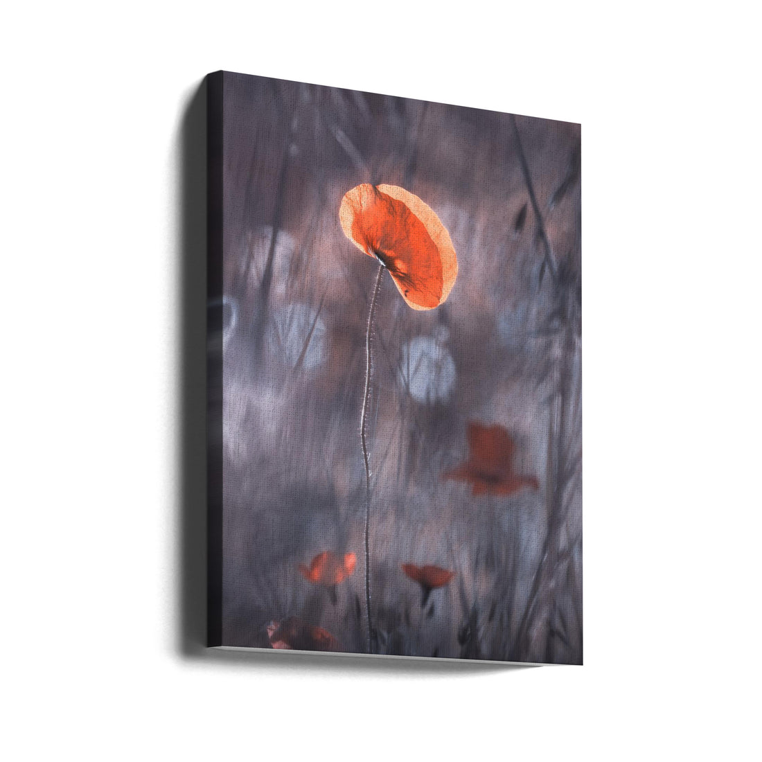 Passions and Desires by Fabien Bravin | Dark Floral Macro, Large Canvas Wall Art Print | Artsy Earth