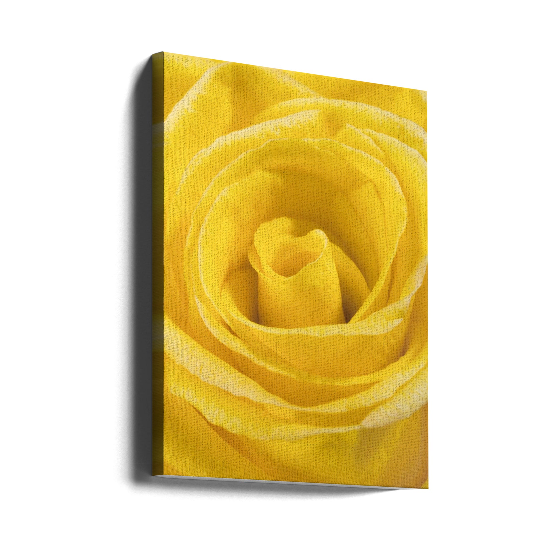 Yellow Rose by Engin Akyurt | Romantic Floral Beauty, Large Canvas Wall Art Print | Artsy Earth