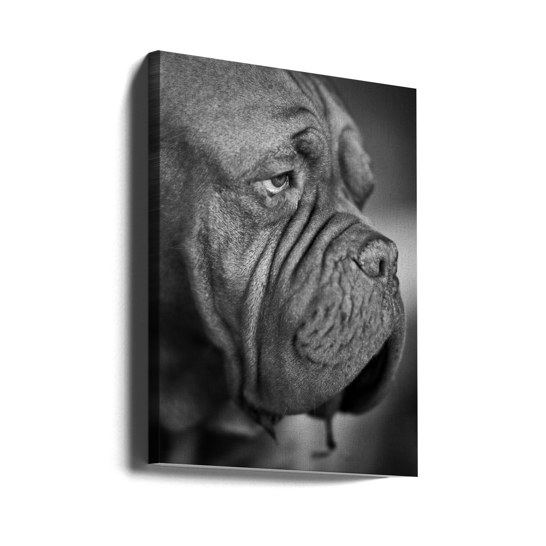 dog portrait by Engin Akyurt | Black And White Pet, Large Canvas Wall Art Print | Artsy Earth