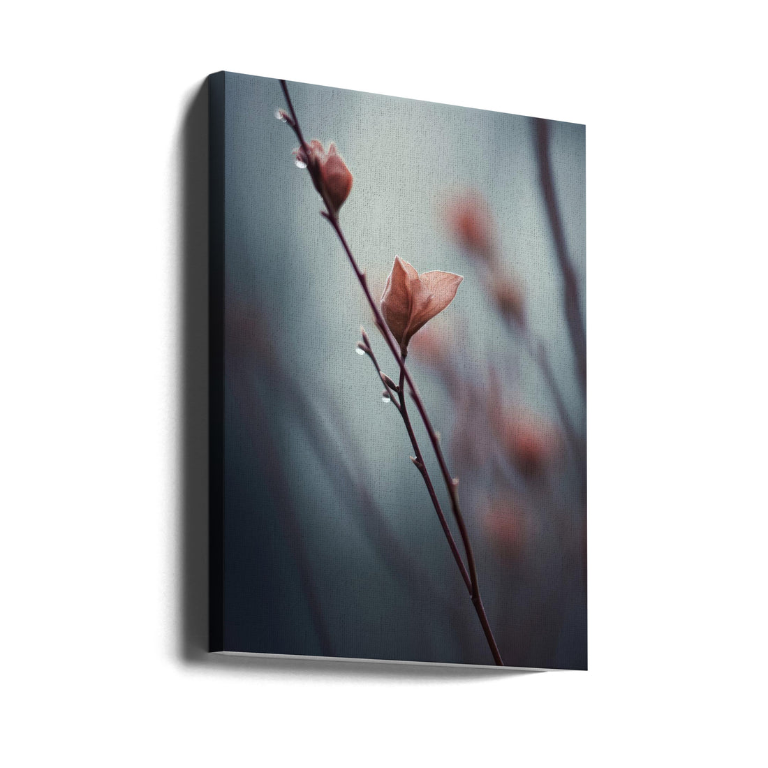 Sleeping Beauty by Treechild | Macro Floral Detail, Large Canvas Wall Art Print | Artsy Earth