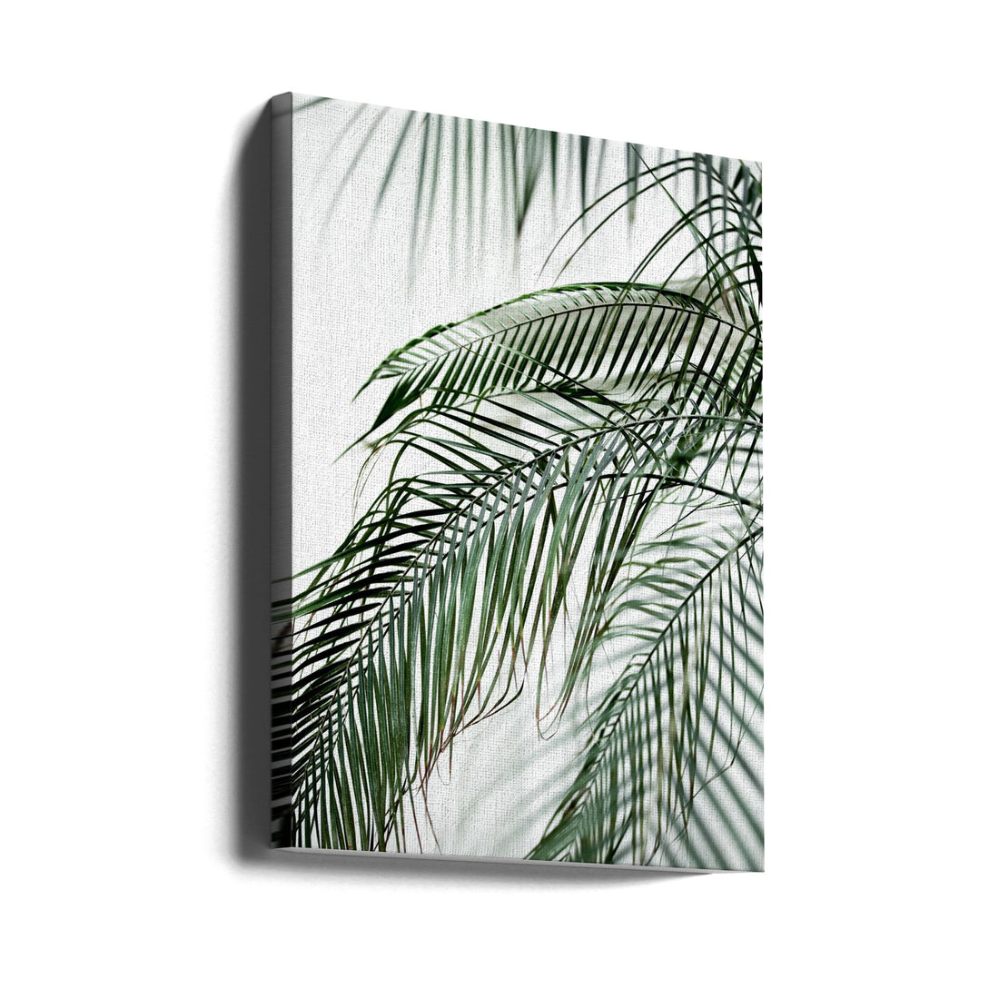 Palm Leaves by Mareike Böhmer | Tropical Botanical Minimal, Large Canvas Wall Art Print | Artsy Earth