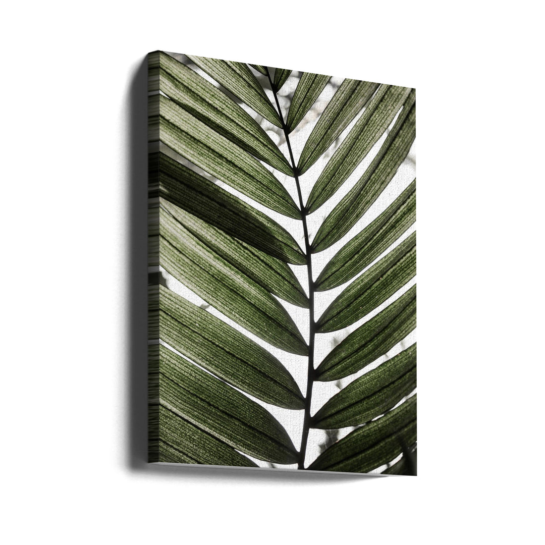 Palm Leaves by Mareike Böhmer | Tropical Botanical Minimal, Large Canvas Wall Art Print | Artsy Earth