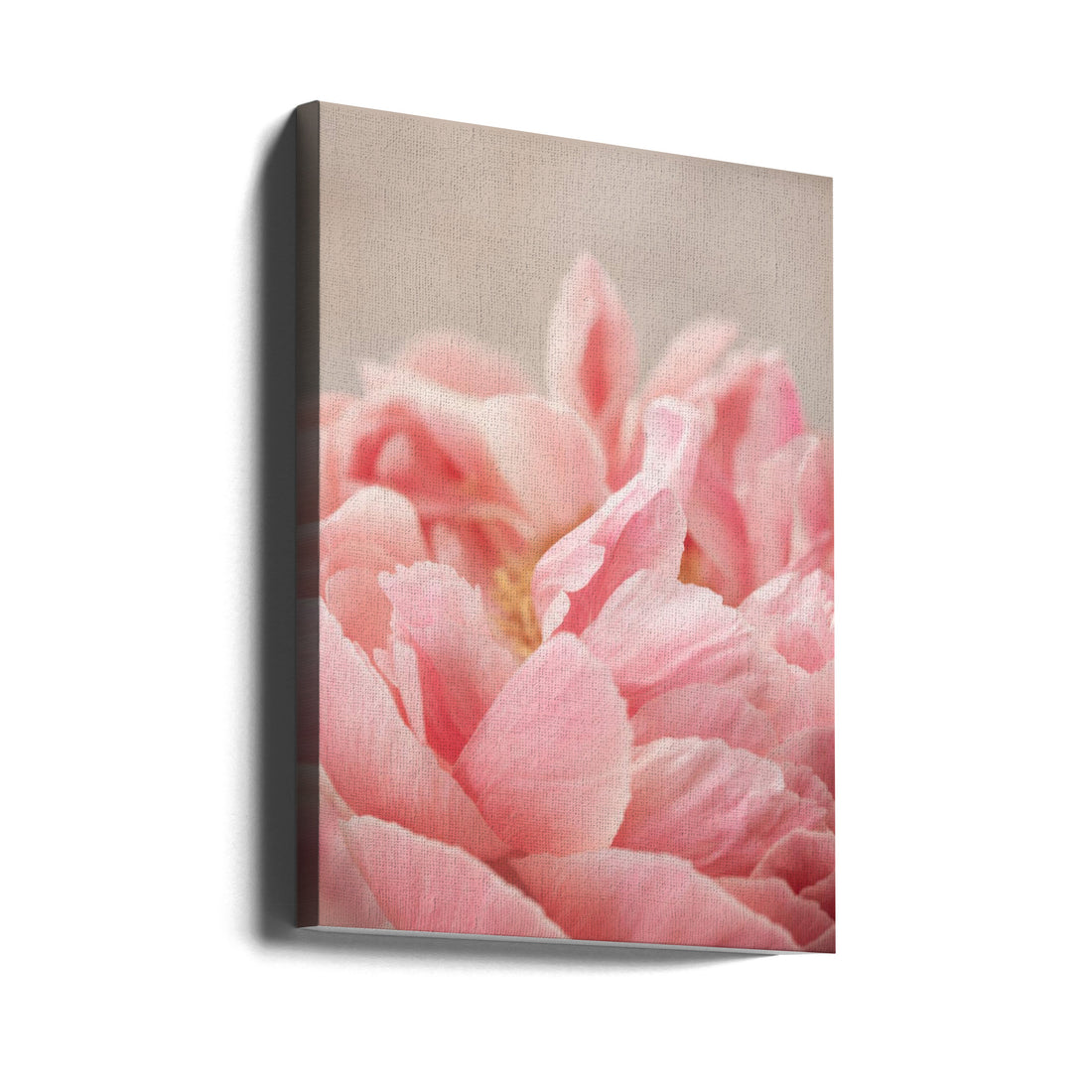 Pink Peony Bloom by Mareike Böhmer | Macro Floral Botanical, Large Canvas Wall Art Print | Artsy Earth