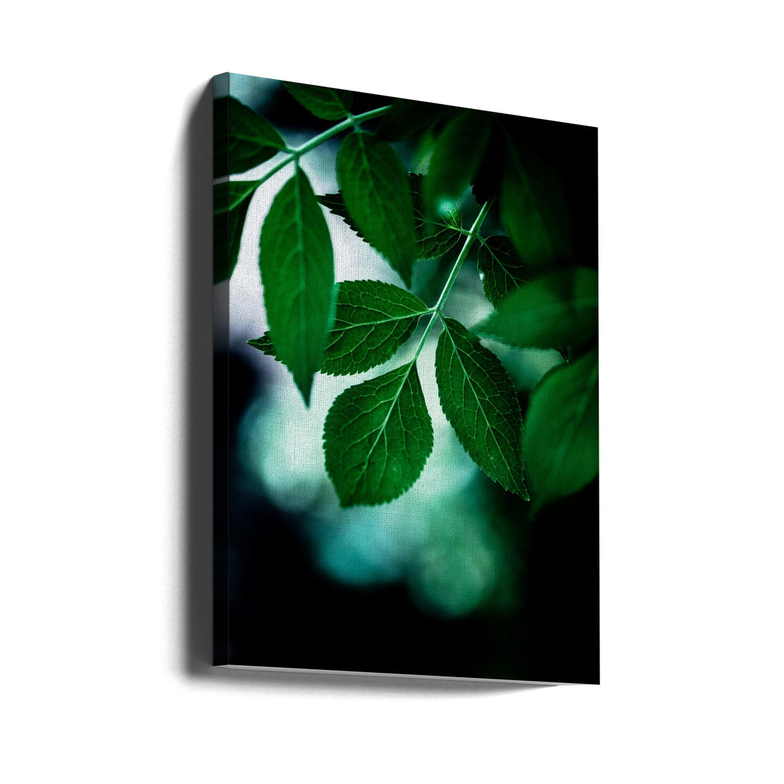 Dark Leaves by Mareike Böhmer | Minimal Botanical Macro, Large Canvas Wall Art Print | Artsy Earth