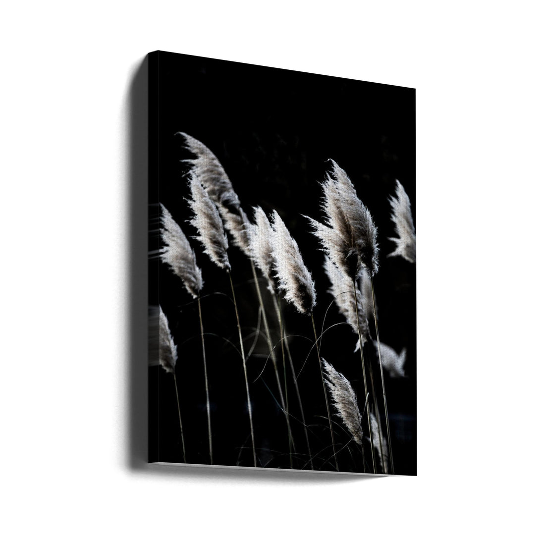 Dark Grass Macro by Mareike Böhmer | Botanical Close-up Dark, Large Canvas Wall Art Print | Artsy Earth