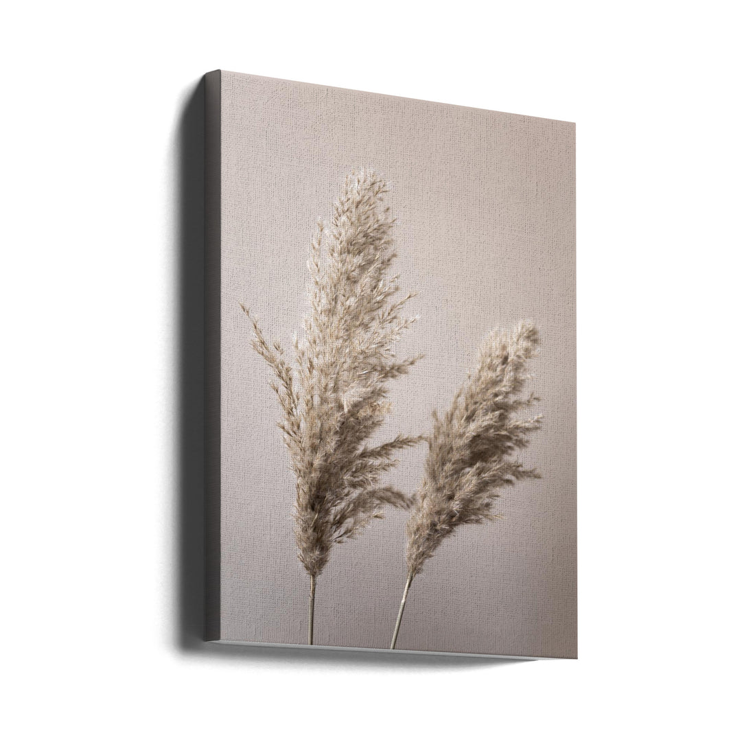 Dried Grass Botanical by Mareike Böhmer | Dried Natural Flora, Large Canvas Wall Art Print | Artsy Earth