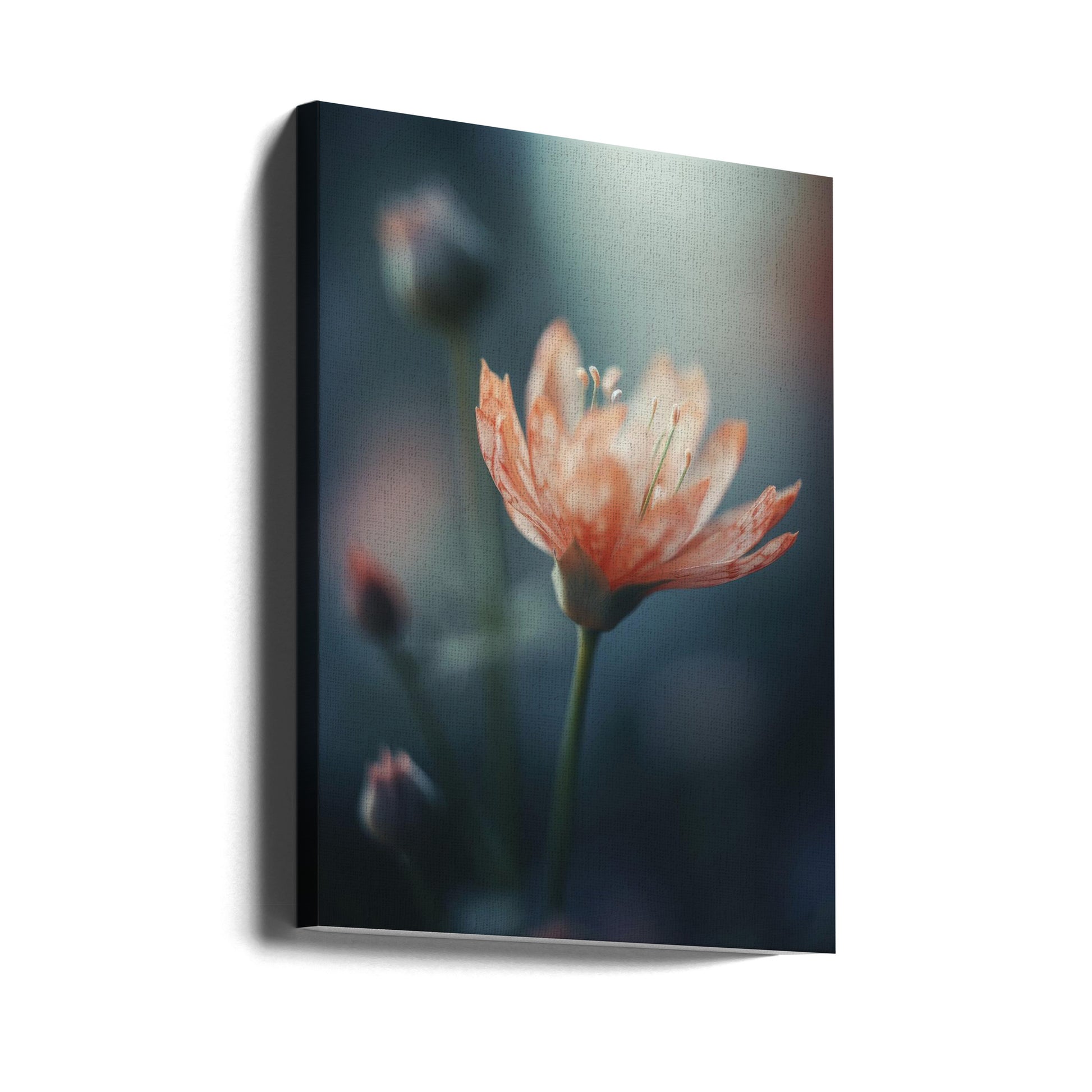 Orange Beauty by Treechild | Floral Botanical Bloom, Large Canvas Wall Art Print | Artsy Earth