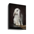 Timeless Portrait of Coco by Noa Nick | Fine Art Rabbit Portrait, Large Canvas Wall Art Print | Artsy Earth