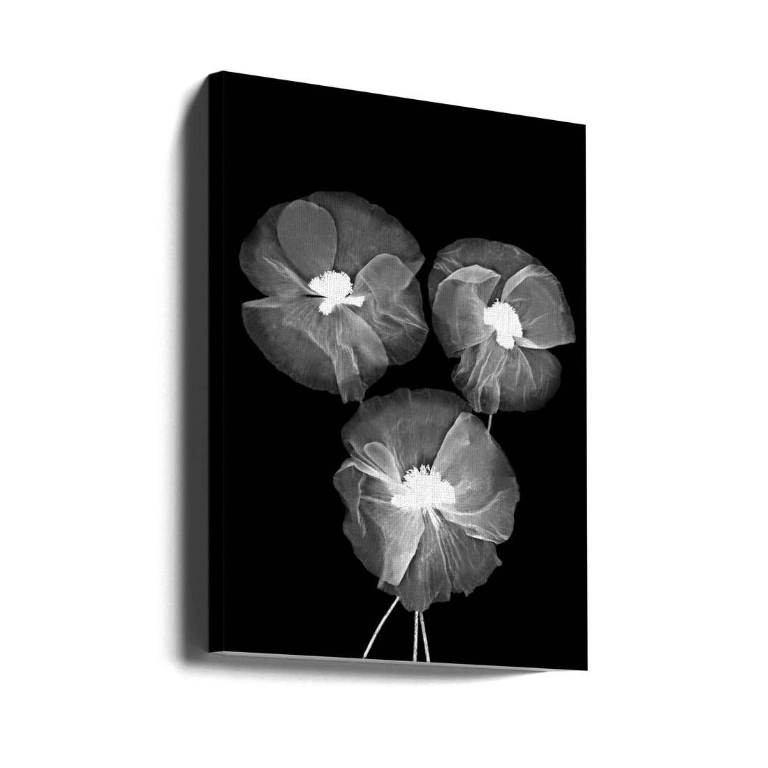 Black and White Delicate Flowers by Bilge Paksoylu | Botanical Flora Monochrome, Large Canvas Wall Art Print | Artsy Earth