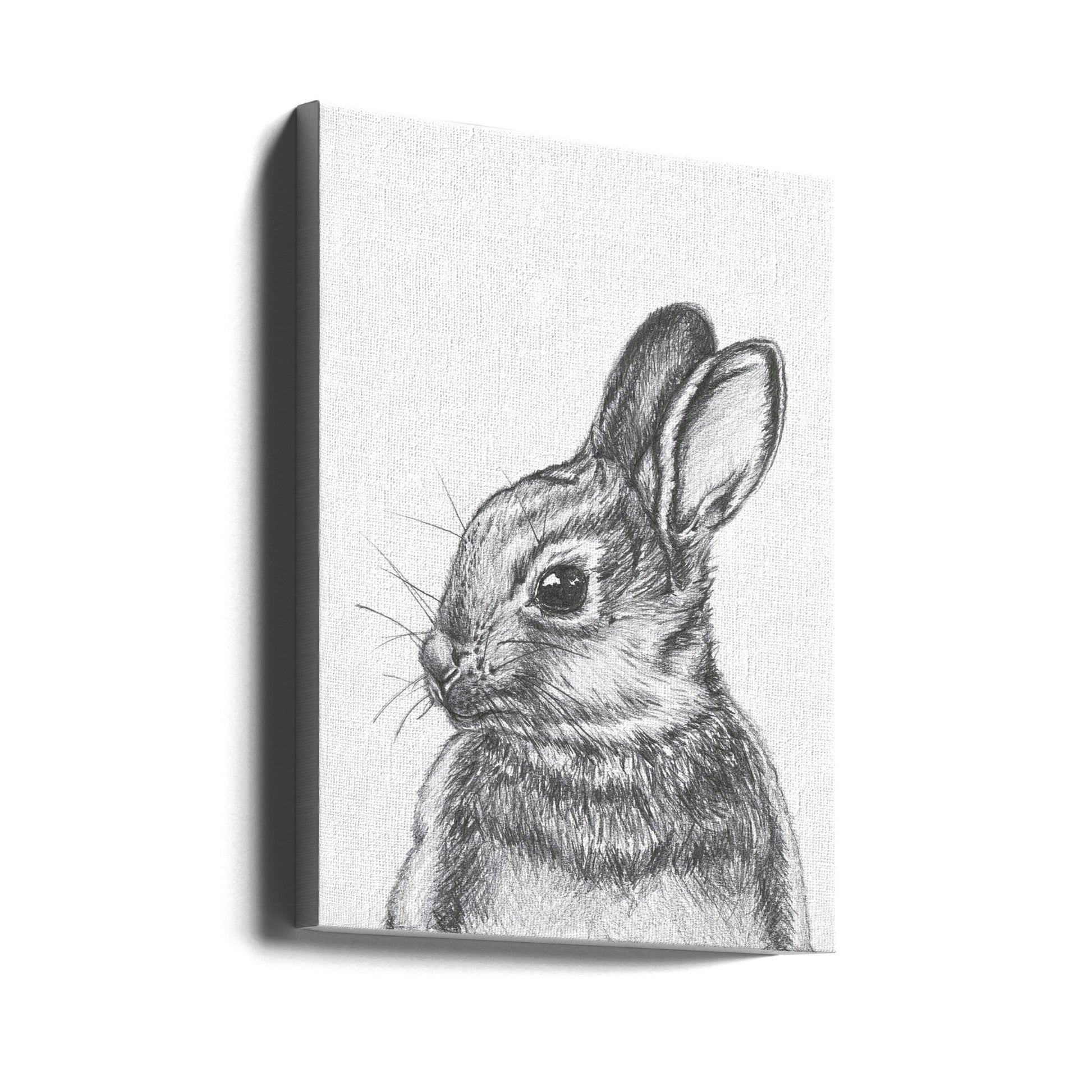 Cottontail Rabbit by Lor Muller | Cute Animal Drawing, Large Canvas Wall Art Print | Artsy Earth