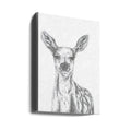 Deer Drawing by Lor Muller | Wildlife Animal Nature, Large Canvas Wall Art Print | Artsy Earth