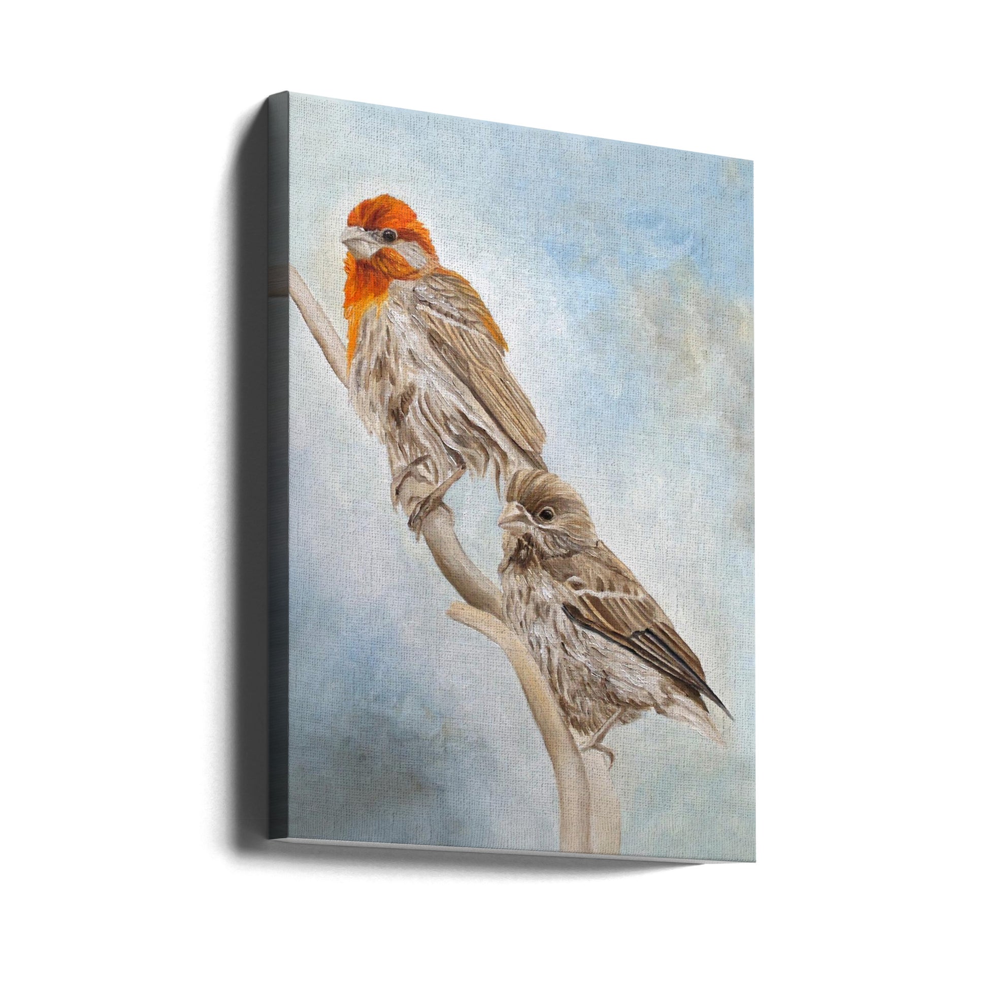 House Finch Couple by Angeles M. Pomata | Wildlife Bird Painting, Large Canvas Wall Art Print | Artsy Earth