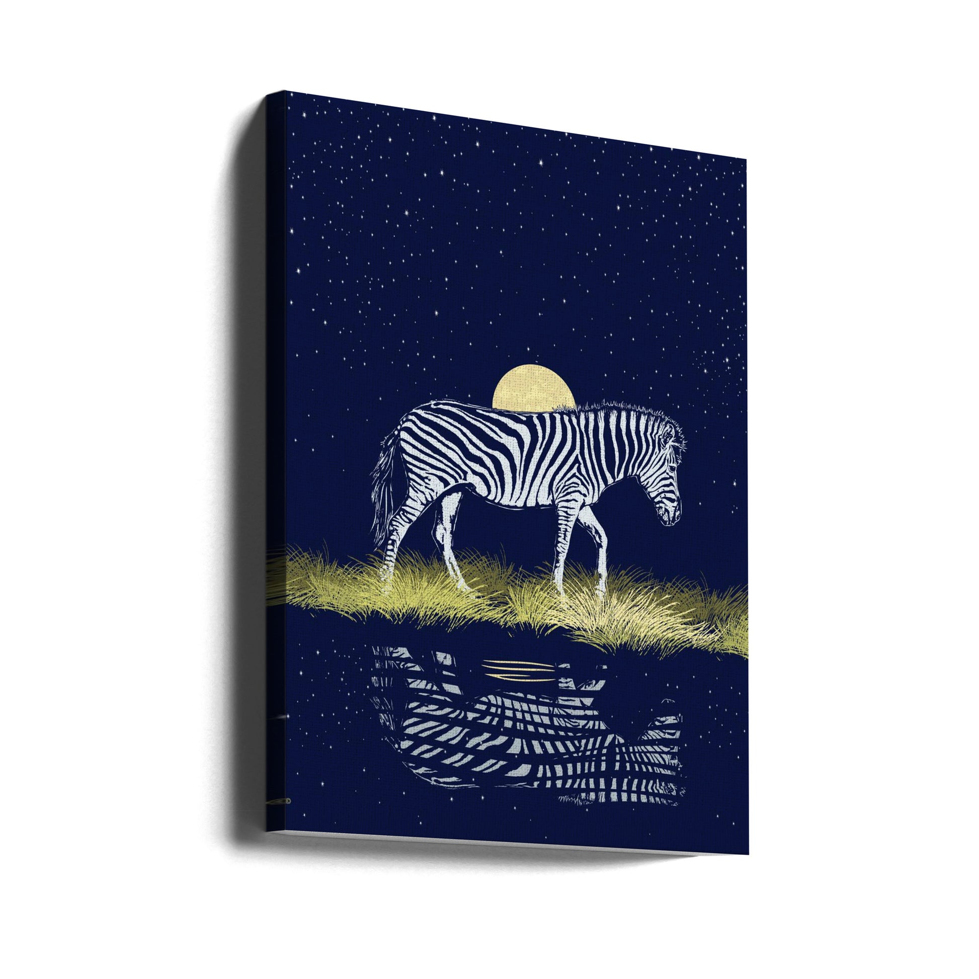 Zebra Waterhole Moonrise by Carlo Kaminski | Nocturnal Wildlife Nature, Large Canvas Wall Art Print | Artsy Earth