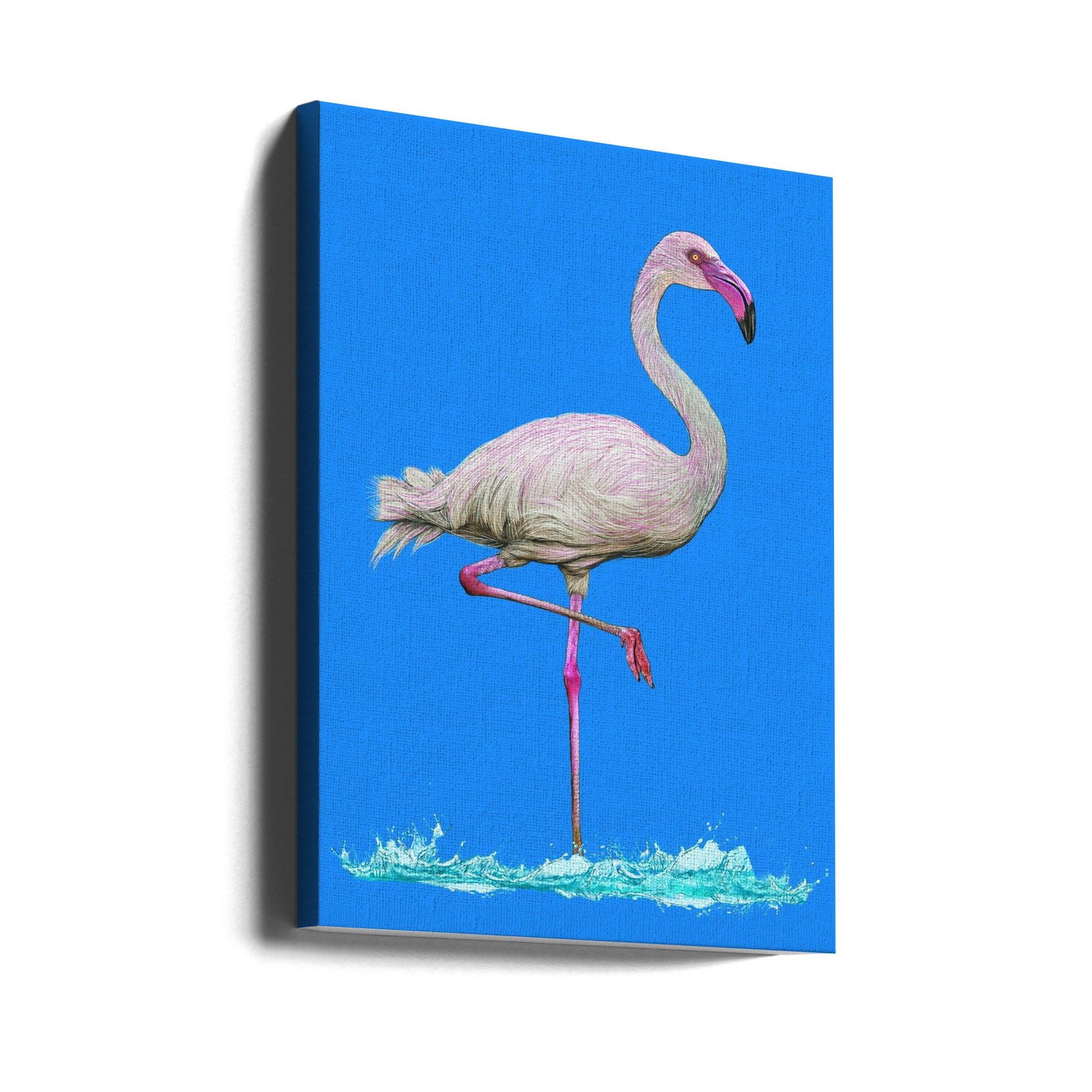 Flamingo in water blue sky by Carlo Kaminski | African Lake Wildlife, Large Canvas Wall Art Print | Artsy Earth