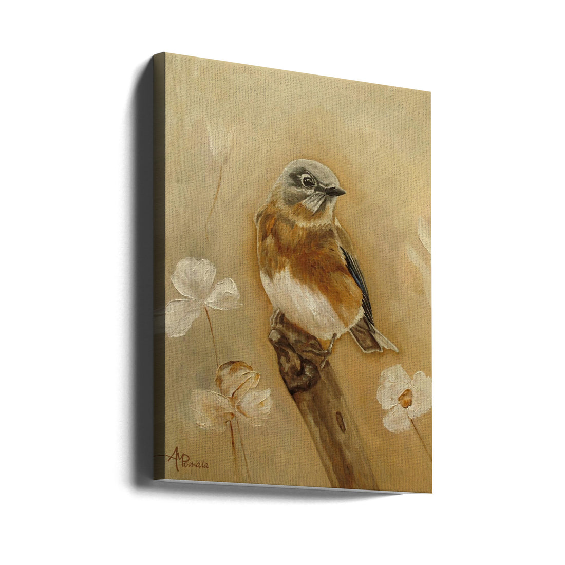 Sweet As Cinnamon by Angeles M. Pomata | Wild Bird Nature, Large Canvas Wall Art Print | Artsy Earth