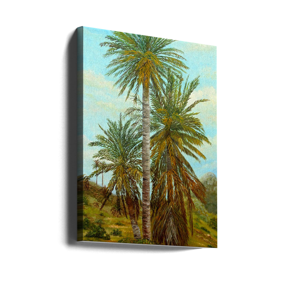 Palm Trees by Angeles M. Pomata | Tropical Palm Landscape, Large Canvas Wall Art Print | Artsy Earth