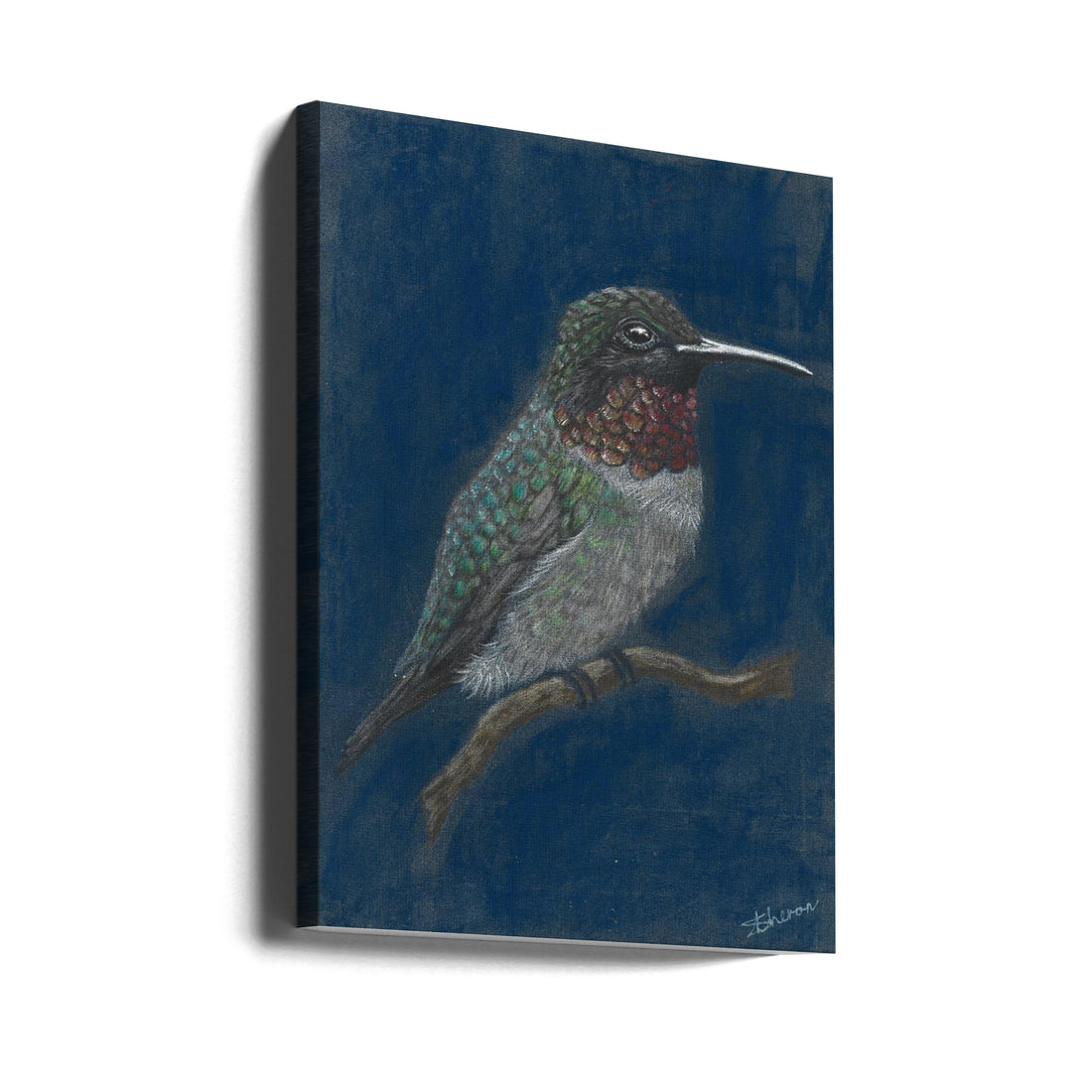 Hummingbird Art by Sunet Theron | Nature Bird Illustration, Large Canvas Wall Art Print | Artsy Earth