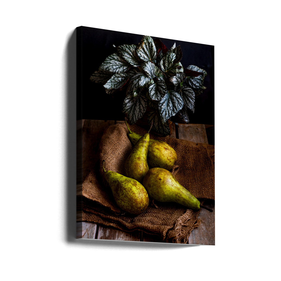 Fresh Pear Still Life by Marija Kordić | Fresh Rustic Food, Large Canvas Wall Art Print | Artsy Earth