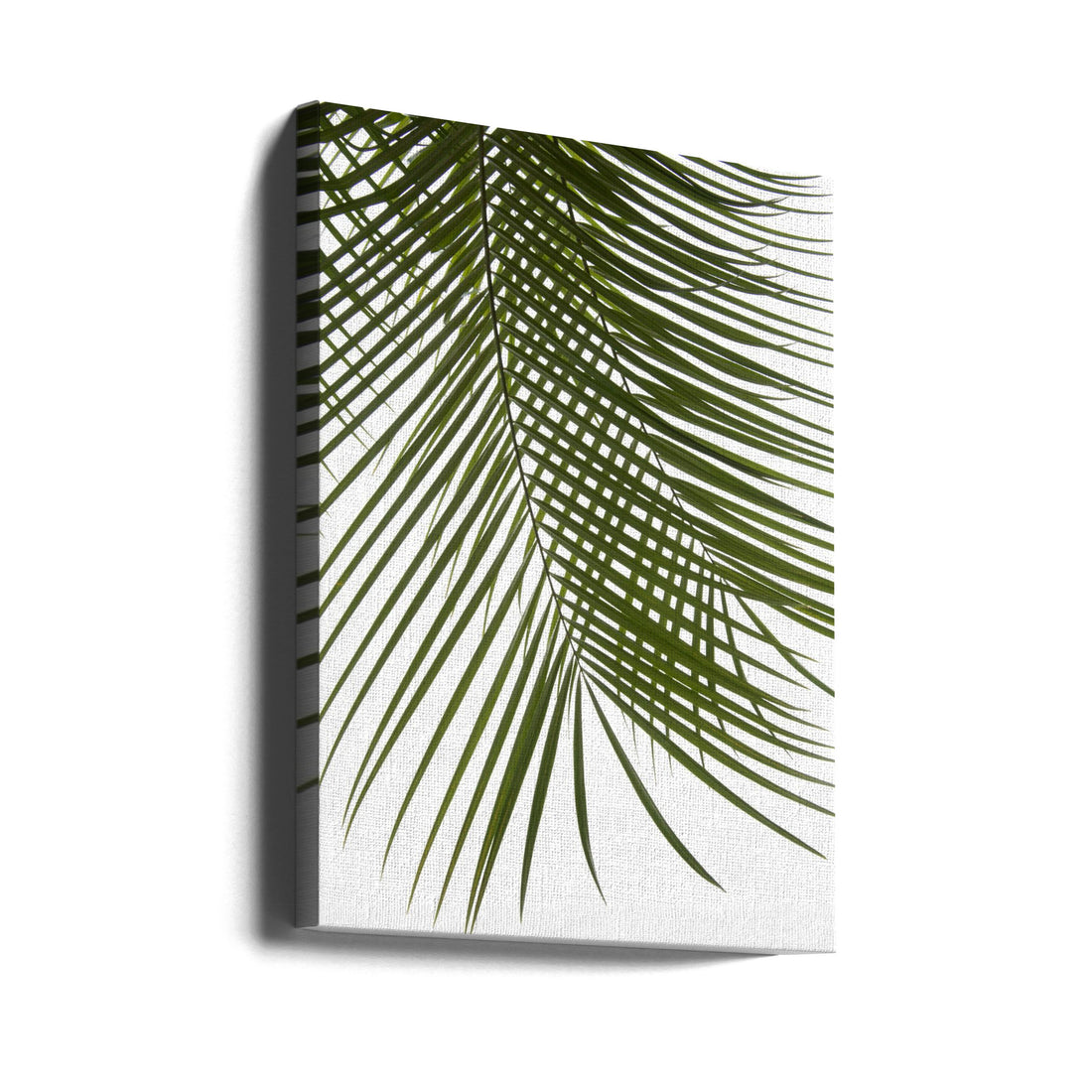 Palm Leaves Foliage by Amini54 | Botanical Palm Leaves, Large Canvas Wall Art Print | Artsy Earth