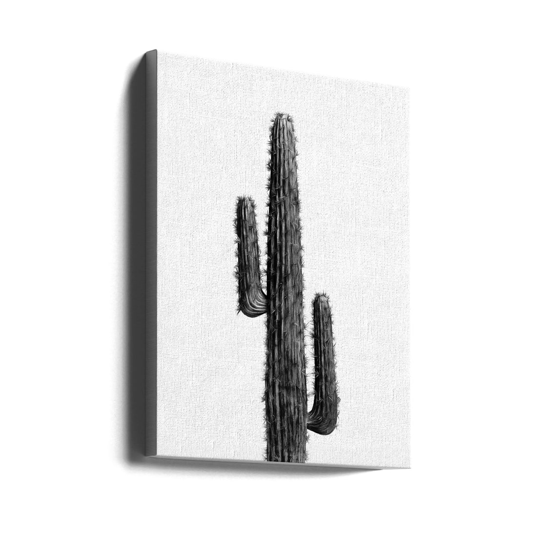 Cactus Black and White by Amini54 | Botanical Still Life, Large Canvas Wall Art Print | Artsy Earth