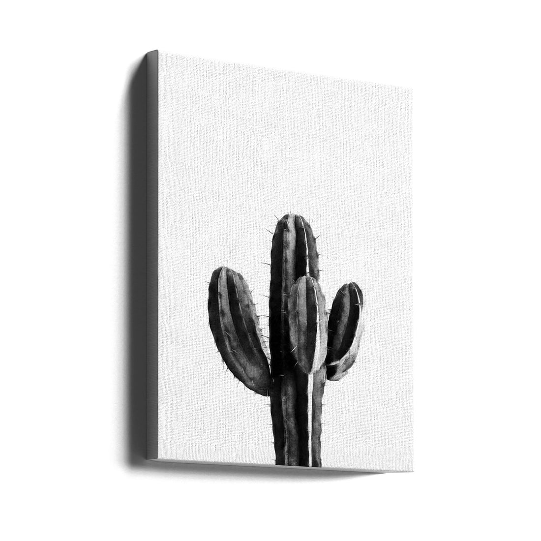 Cactus Black and White by Amini54 | Botanical Still Life, Large Canvas Wall Art Print | Artsy Earth