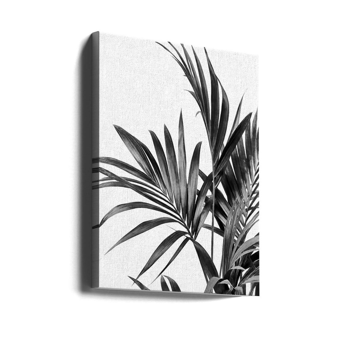 Palm Leaves Black and White by Amini54 | Monochrome Botanical Art, Large Canvas Wall Art Print | Artsy Earth