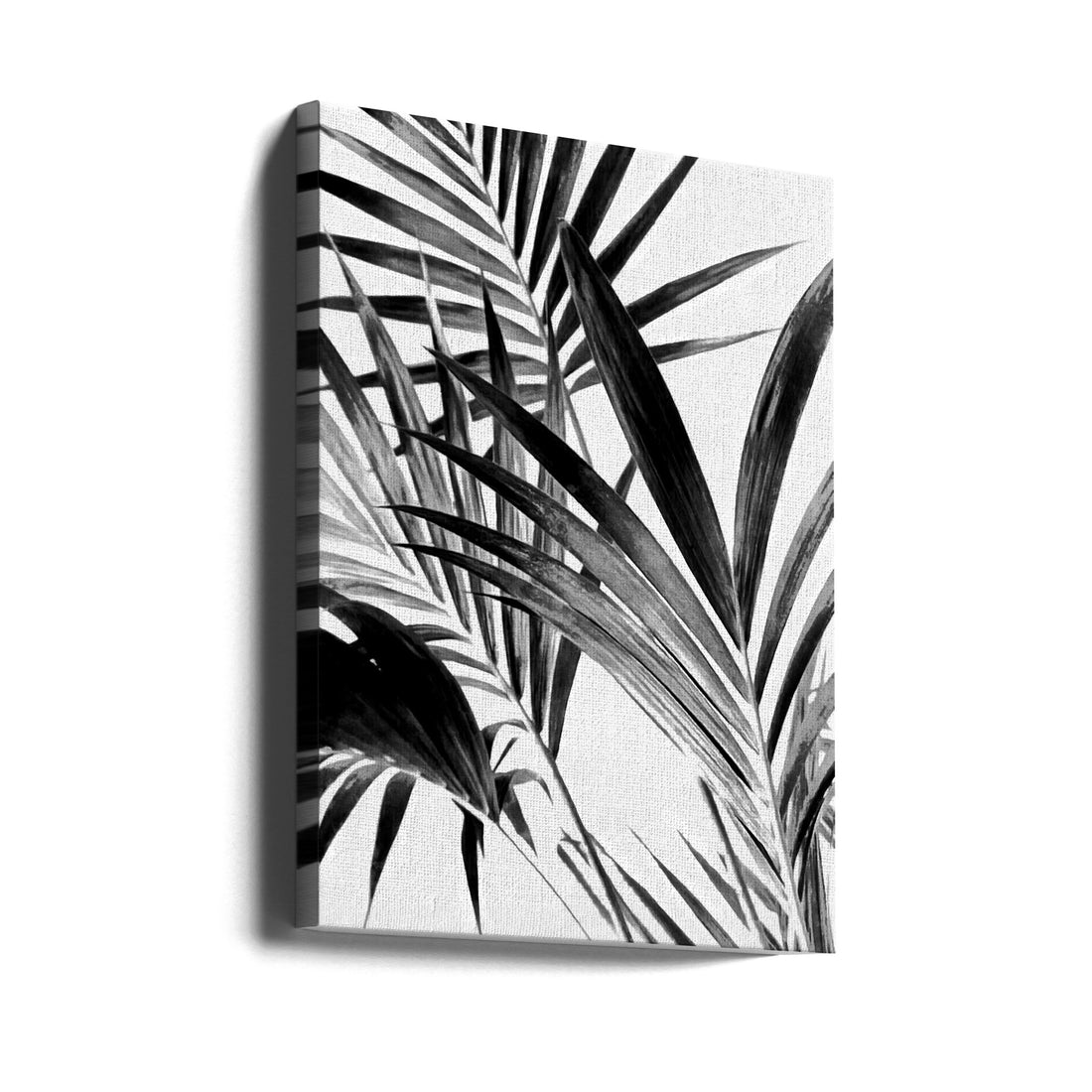 Palm Leaves Black and White by Amini54 | Tropical Botanical Monochrome, Large Canvas Wall Art Print | Artsy Earth