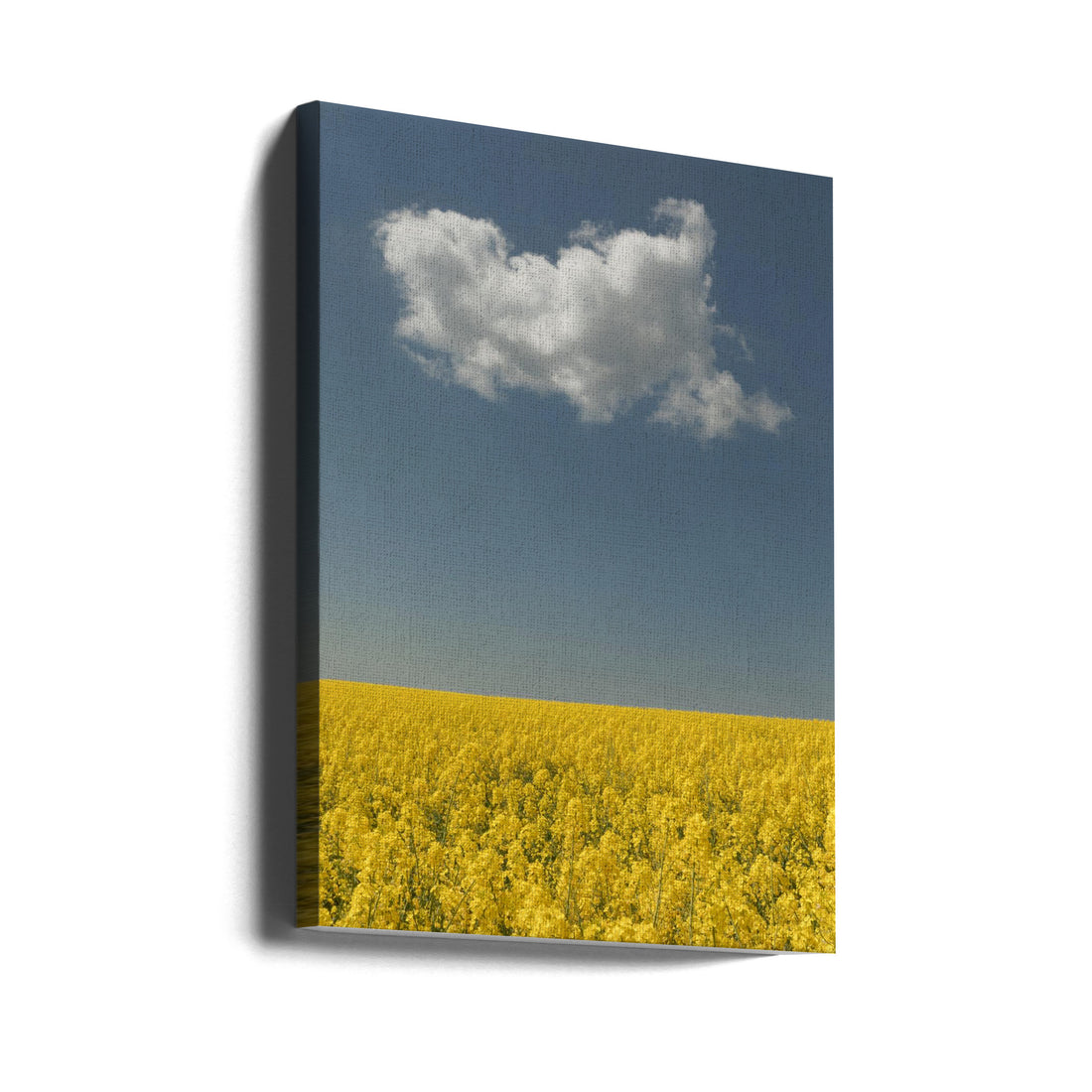 Rural Serenity by Jakob Arnholtz | Yellow Rapeseed Fields, Large Canvas Wall Art Print | Artsy Earth