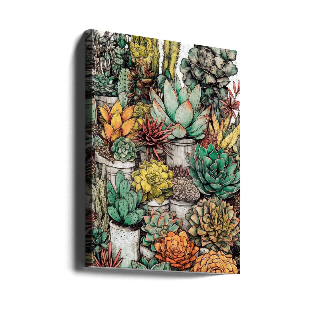 Succulents and Cactus by Justyna Jaszke | Exotic Botanical Garden, Large Canvas Wall Art Print | Artsy Earth