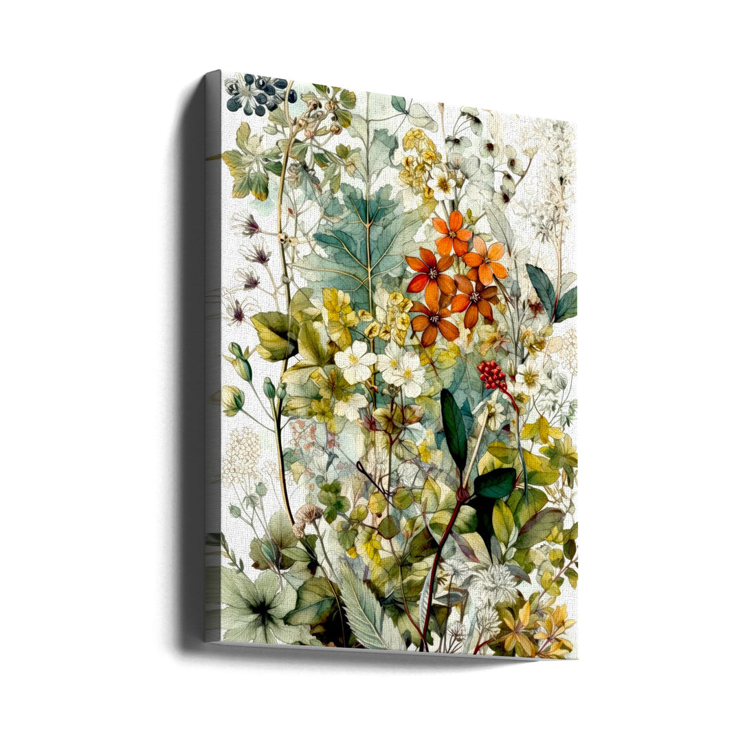 Meadow flowers by Justyna Jaszke | Natural Botanical Flora, Large Canvas Wall Art Print | Artsy Earth