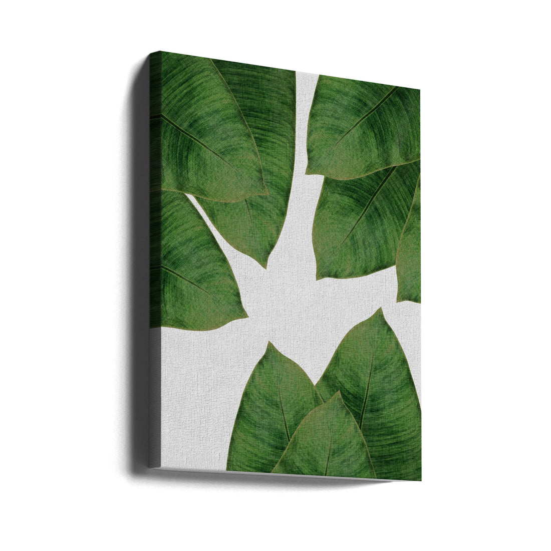 Banana Leaf I by Orara Studio | Botanical Close-up Pattern, Large Canvas Wall Art Print | Artsy Earth