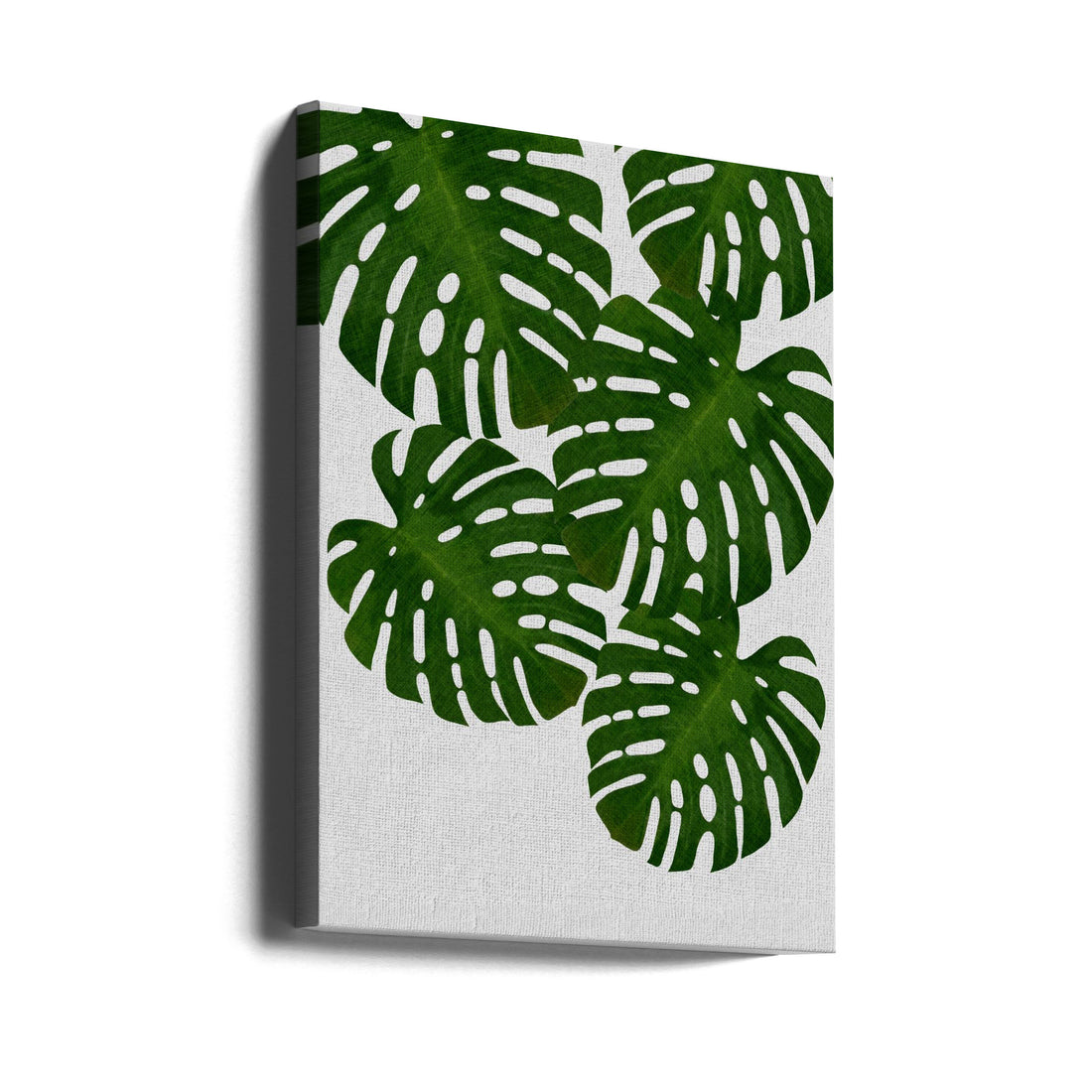 Monstera Leaf I by Orara Studio | Botanical Green Plant, Large Canvas Wall Art Print | Artsy Earth