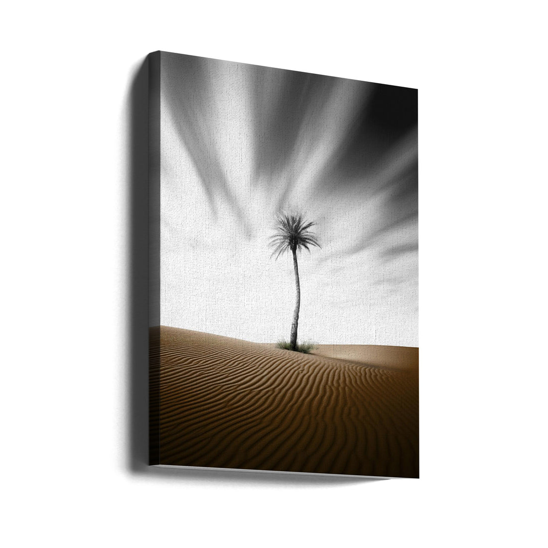 Beautiful Survivor by Hosam.karara | Desert Palm Landscape, Large Canvas Wall Art Print | Artsy Earth