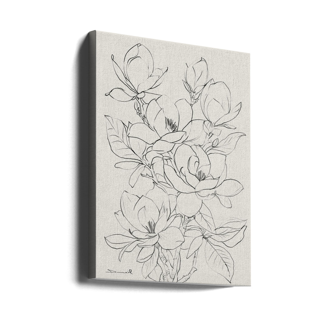 Magnolia Tree by Dan Hobday | Botanical Line Drawing, Large Canvas Wall Art Print | Artsy Earth