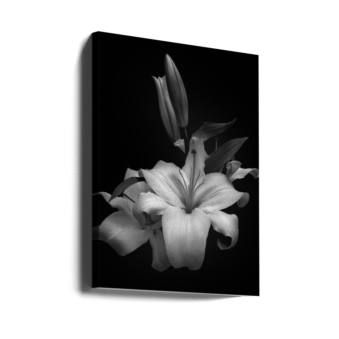 Dark Lily Study by Montserrat Alviani | Botanical Still Life, Large Canvas Wall Art Print | Artsy Earth