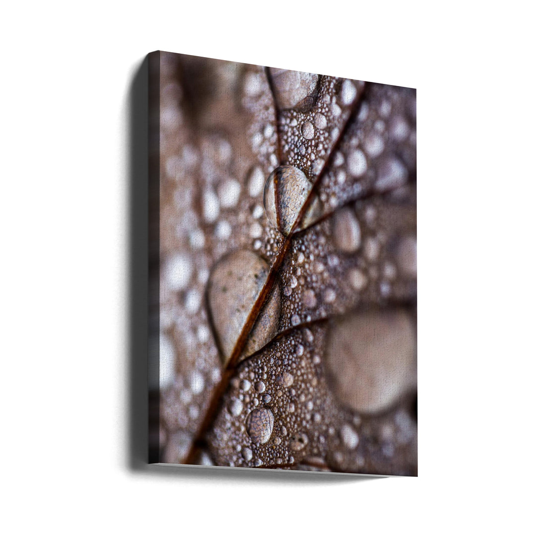 Autumn Rain by Mareike Böhmer | Rainy Nature Macro, Large Canvas Wall Art Print | Artsy Earth