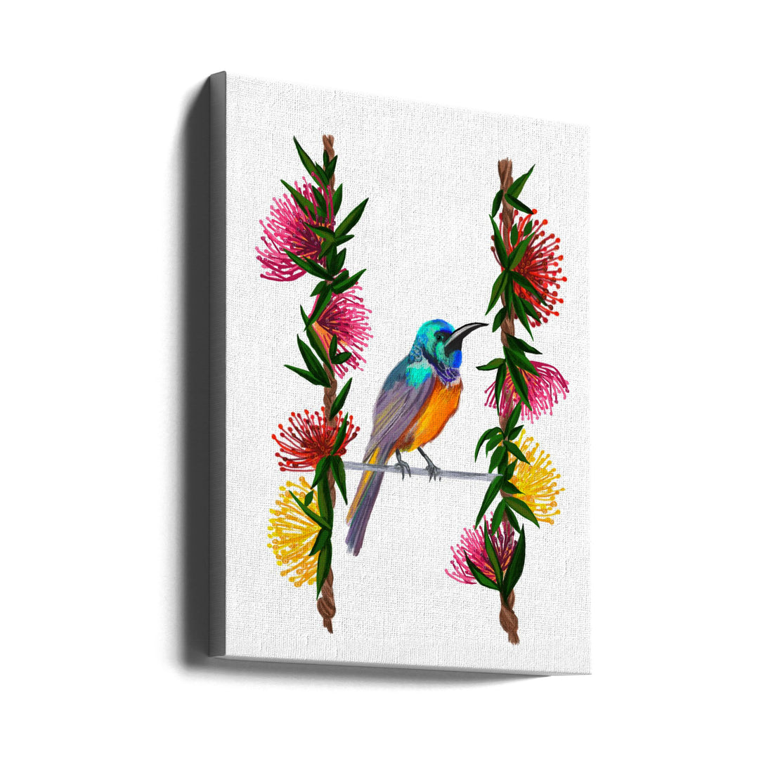 Just Hanging Around by Art By The Ocean | Bird Animal Illustration, Large Canvas Wall Art Print | Artsy Earth