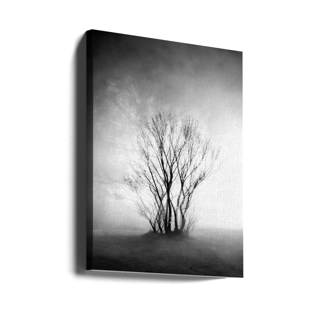 Lonely Winter Tree by Youngil Kim | Black And White Landscape, Large Canvas Wall Art Print | Artsy Earth