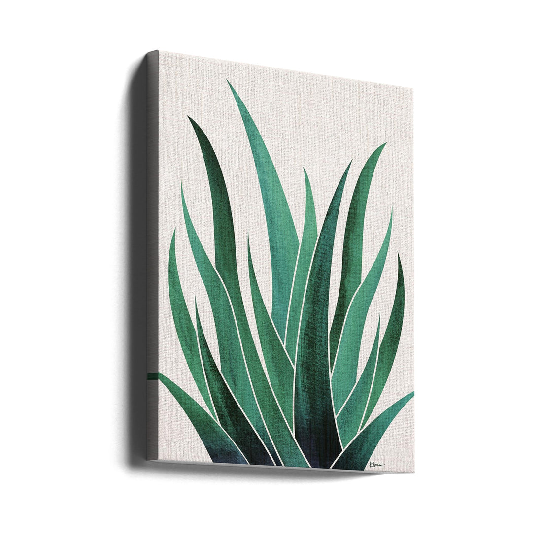 Desert Agave Cactus by Kristian Gallagher | Botanical Plant Illustration, Large Canvas Wall Art Print | Artsy Earth