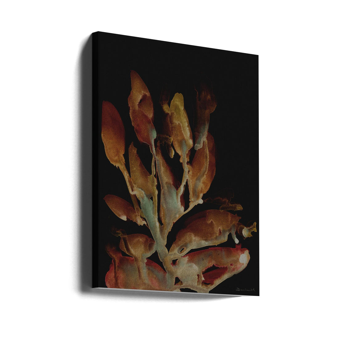 Night Plant by Dan Hobday | Underwater Coral Dark, Large Canvas Wall Art Print | Artsy Earth