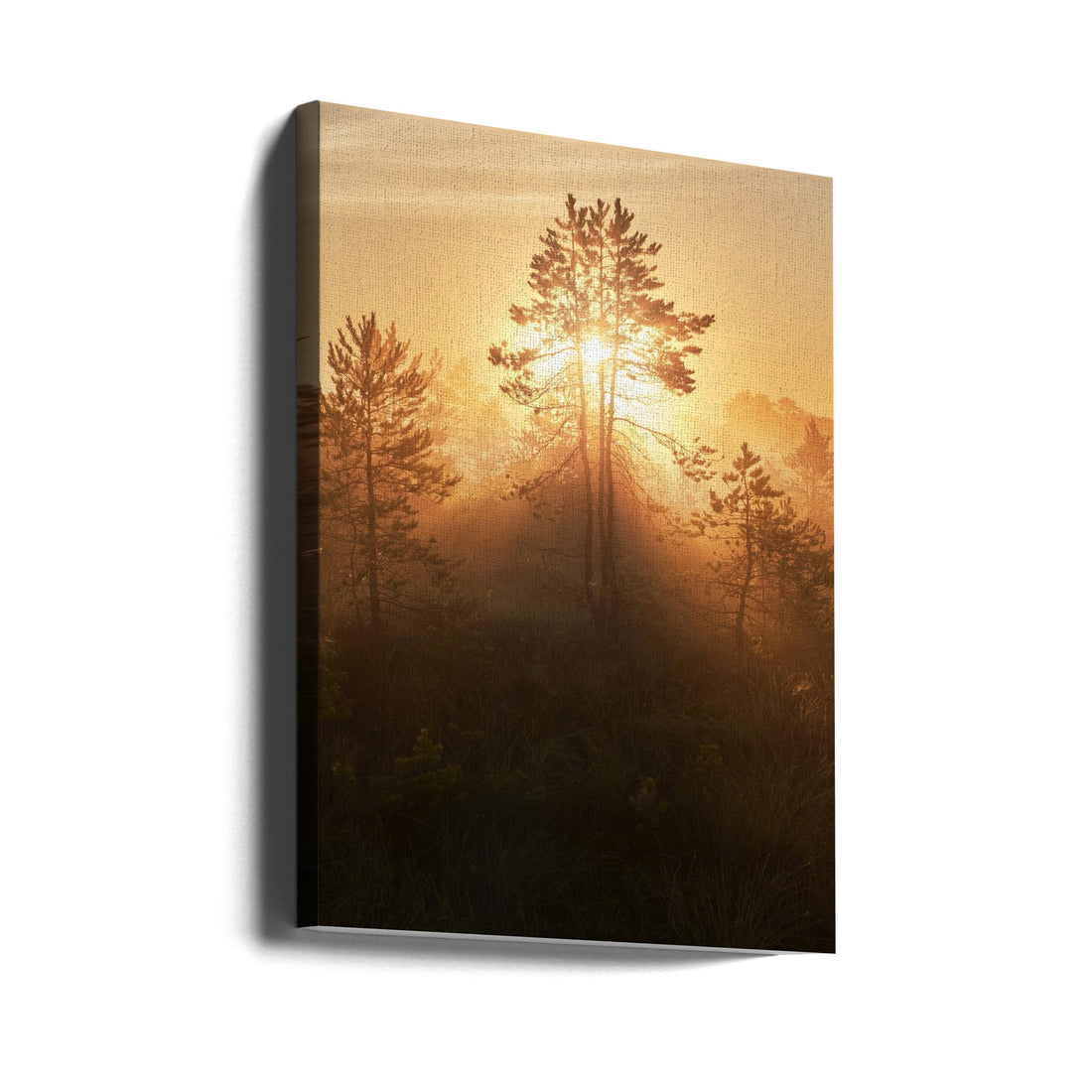 Forest Sunrise Ray by Hamed Bank | Sunlight Forest Trees, Large Canvas Wall Art Print | Artsy Earth