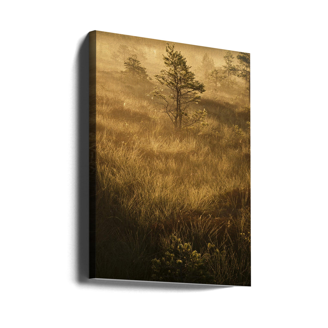 Misty Autumn Field by Hamed Bank | Foggy Countryside Landscape, Large Canvas Wall Art Print | Artsy Earth