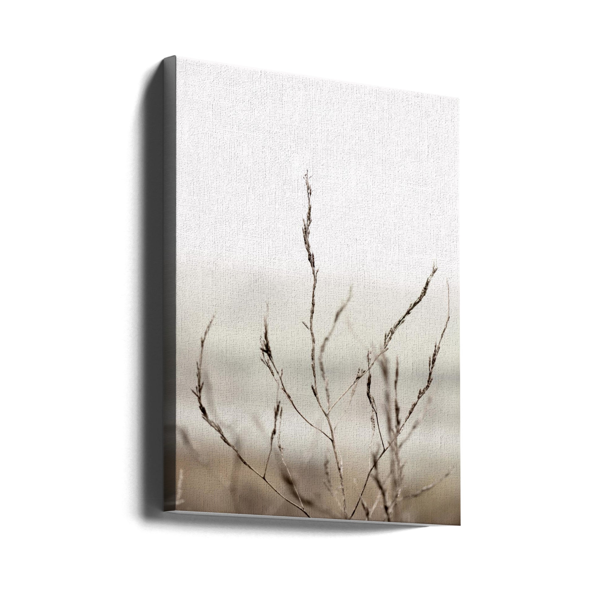 Pickleweed Macro by Crystal Lynn Collins | Beige Reed Closeup, Large Canvas Wall Art Print | Artsy Earth