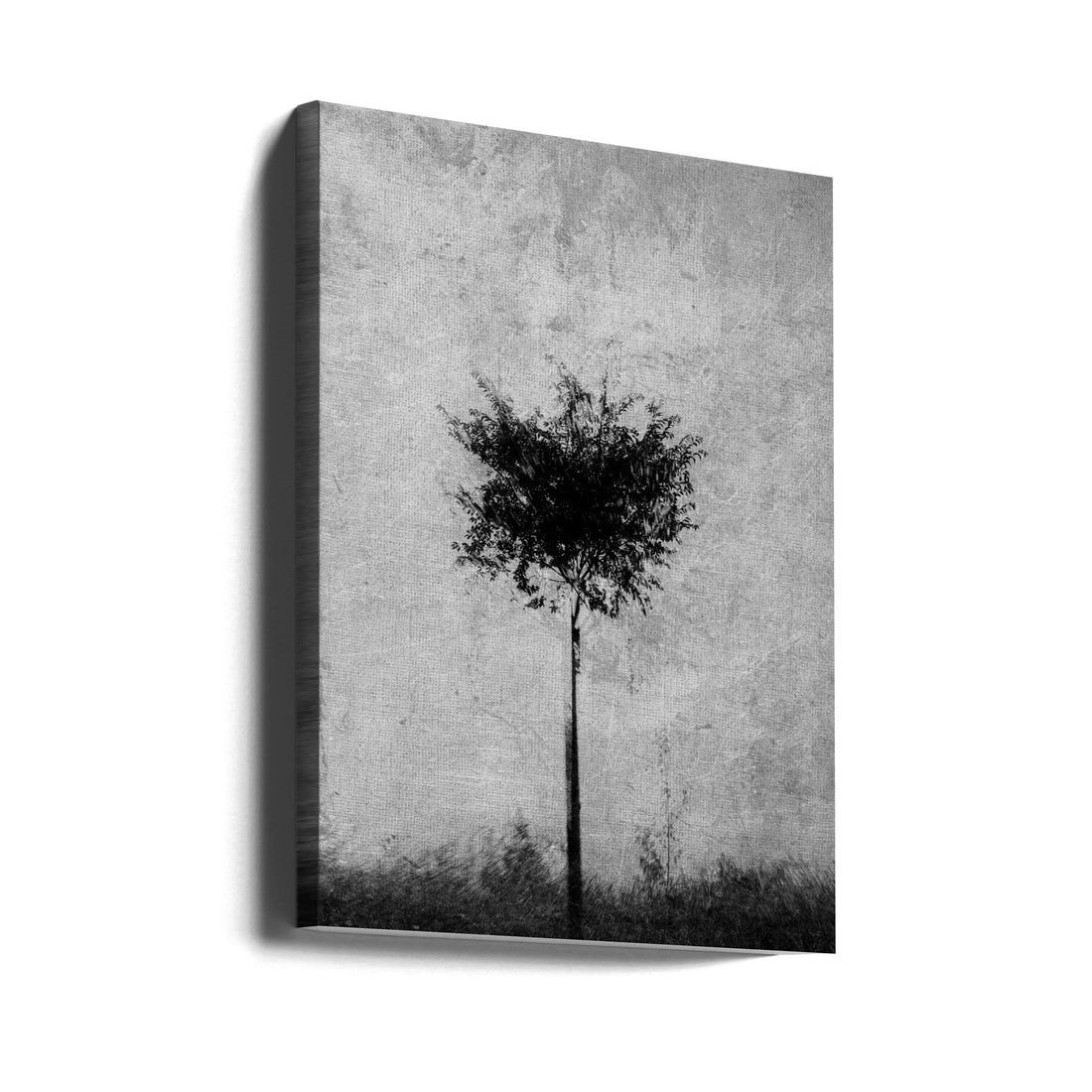 Tree in black and white by Imaginative | Misty Landscape Photography, Large Canvas Wall Art Print | Artsy Earth