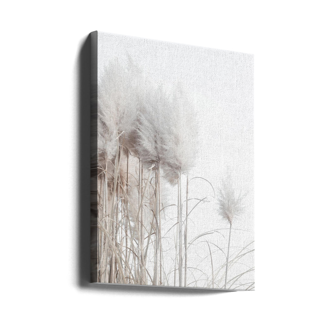 Pampas Grass I by Magda Izzard | Botanical Plant Photography, Large Canvas Wall Art Print | Artsy Earth