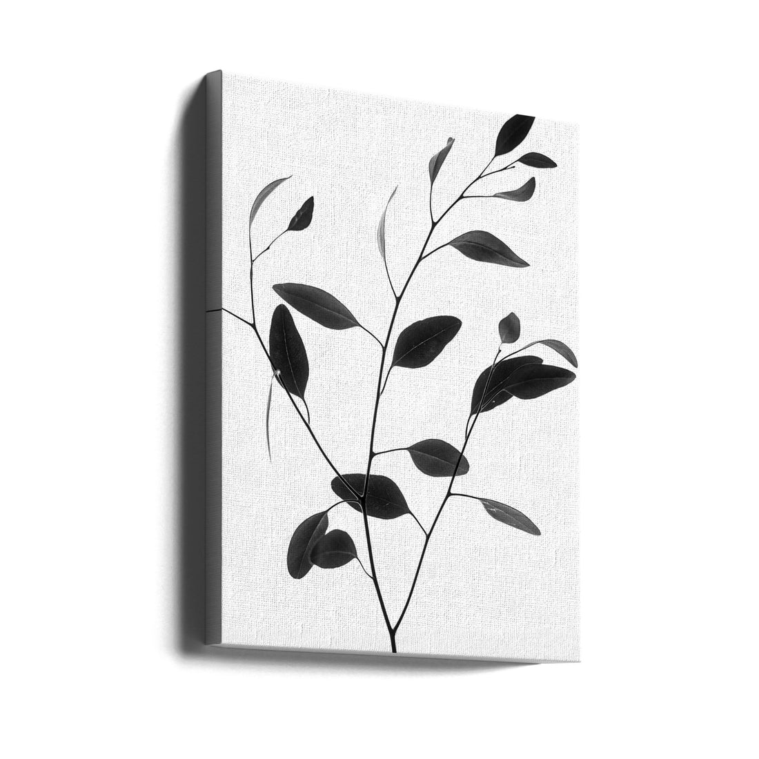 Delicate Branch by Magda Izzard | Minimal Botanical Photography, Large Canvas Wall Art Print | Artsy Earth